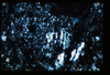 ap1403_03_19