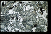 ap1403_04_01