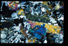 ap1403_04_02