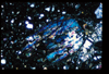 ap1403_04_06