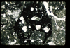 ap1403_04_07