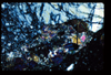 ap1403_04_11