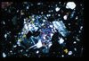 ap1403_04_13