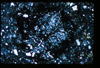 ap1403_04_17