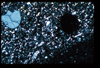 ap1403_05_02