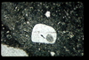 ap1403_05_03