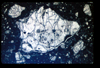 ap1403_05_05