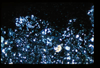 ap1403_05_17