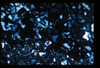ap1403_06_06