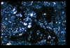 ap1403_06_08