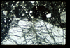 ap1403_06_11