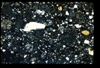 ap1403_06_15