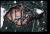 ap1403_07_01