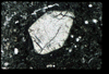 ap1403_07_02