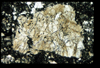 ap1403_07_10