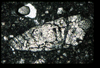 ap1403_07_14