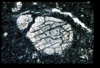 ap1403_07_16