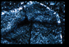 ap1403_07_19