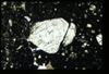 ap1403_08_01