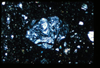 ap1403_08_02