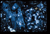 ap1403_08_04
