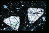 ap1403_08_06