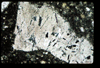 ap1403_08_09