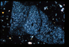 ap1403_08_10