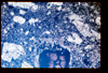 ap1403_08_11