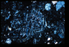 ap1403_08_15