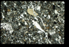 ap1403_08_16