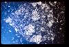 ap1403_09_01