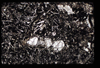 ap1403_09_03