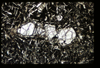 ap1403_09_05