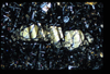 ap1403_09_06