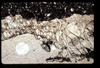 ap1403_09_07