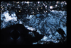 ap1403_09_08