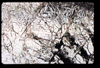 ap1403_09_11