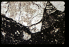 ap1403_09_13