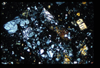ap1403_09_16