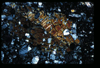 ap1403_09_18