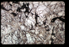 ap1403_09_19