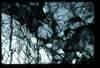ap1403_09_20