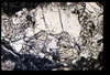 ap1403_10_01