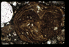 ap1403_10_07
