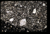 ap1403_10_11