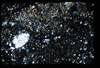 ap1403_10_14