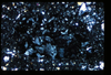 ap1403_10_15