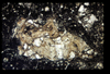 ap1403_10_16