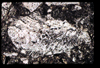 ap1403_10_18